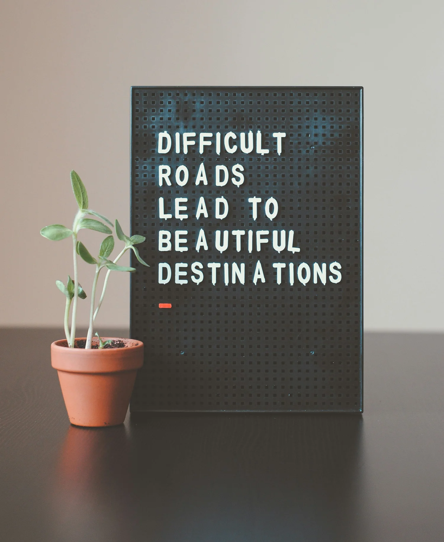 A letter board reading “Difficult roads lead to beautiful destinations” beside a small potted plant